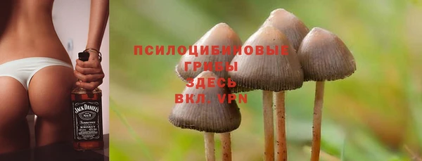 а пвп мука Алзамай