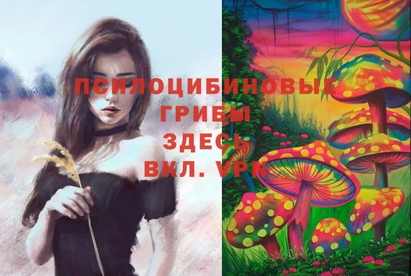 а пвп мука Алексеевка