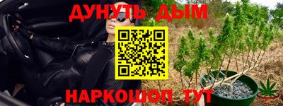 спайс Гусев