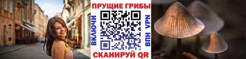 Галлюциногенные грибы мухоморы Михайловск