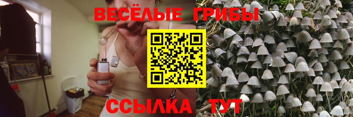 Галлюциногенные грибы MAGIC MUSHROOMS  что такое наркотик  Михайловск  Вход с VPN 